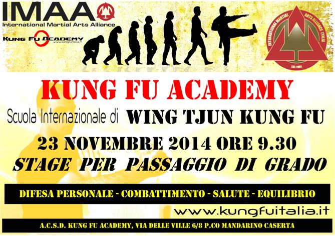 dic14 trainer kung fu academy Caserta Italia International Martial Arts Alliance IMAA corso istruttori wing tjun tsun chun difesa personale arti marziali cinesi corso Sifu Mezzone (2)